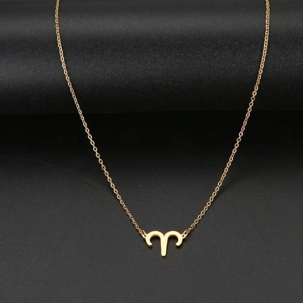 Zodiac Sign Necklace - Picture 6 of 6
